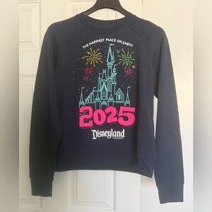 Disney 2025 Sweatshirt with Castle and sewn on Numbers Size Large